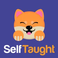 Self-Taught Learn German Words